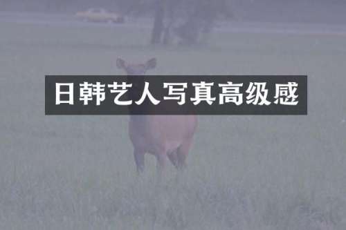 日韩艺人写真高级感