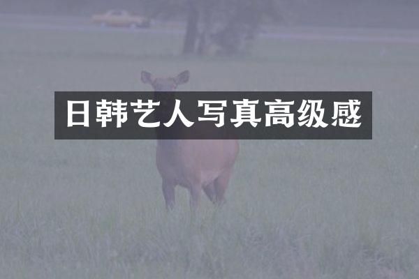 日韩艺人写真高级感
