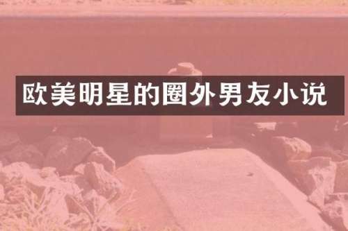 欧美明星的圈外男友小说