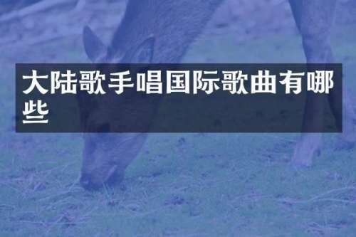 大陆歌手唱国际歌曲有哪些