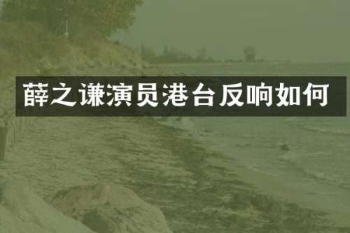 薛之谦演员港台反响如何