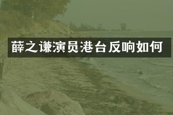 薛之谦演员港台反响如何