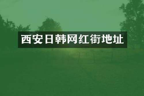 西安日韩网红街地址