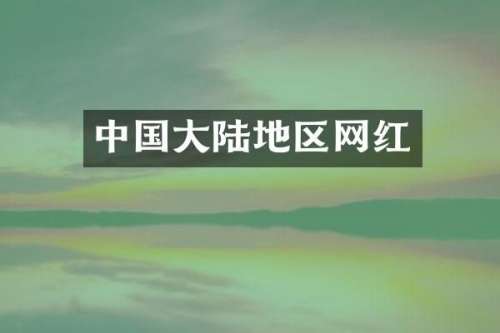 中国大陆地区网红