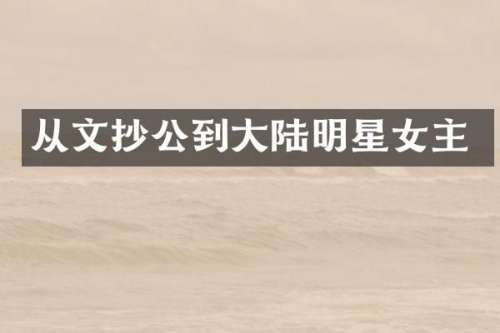 从文抄公到大陆明星女主