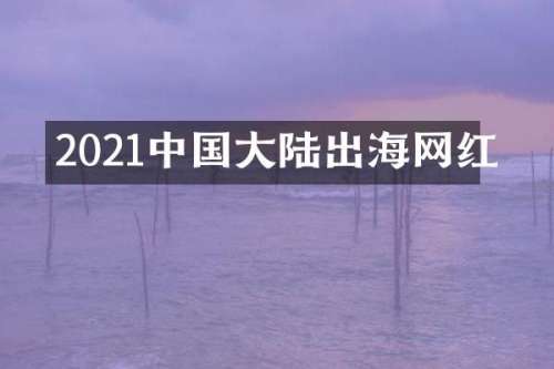 2021中国大陆出海网红