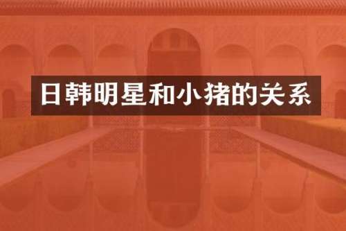 日韩明星和小猪的关系