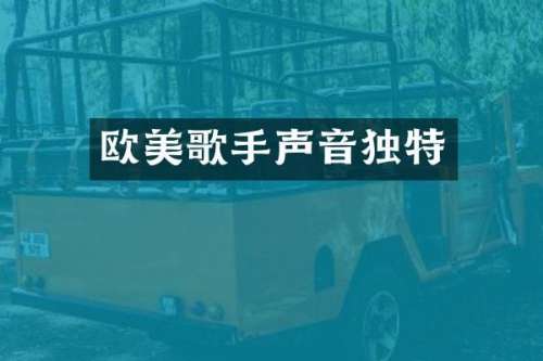 欧美歌手声音独特