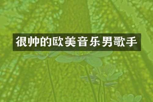很帅的欧美音乐男歌手