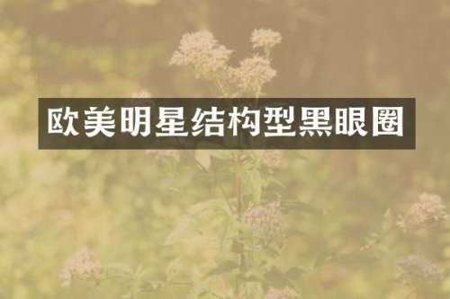 欧美明星结构型黑眼圈