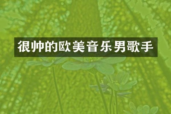 很帅的欧美音乐男歌手