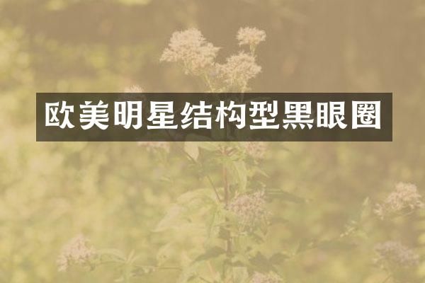 欧美明星结构型黑眼圈