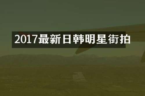 2017最新日韩明星街拍