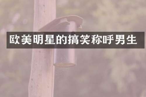 欧美明星的搞笑称呼男生