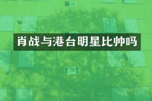 肖战与港台明星比帅吗