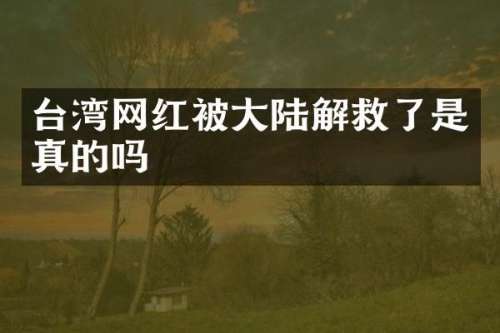 台湾网红被大陆解救了是真的吗