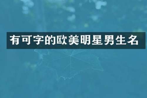 有可字的欧美明星男生名