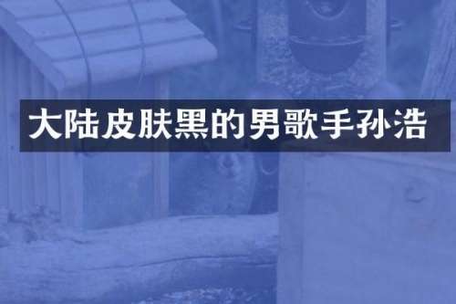 大陆皮肤黑的男歌手孙浩