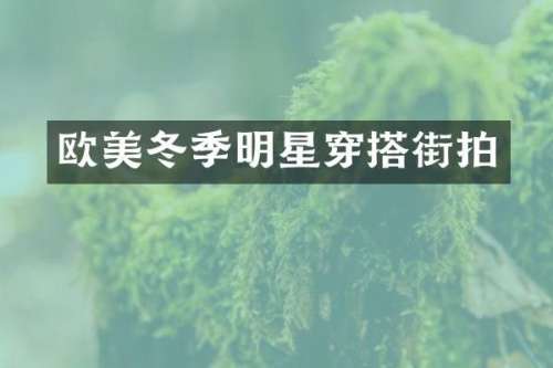 欧美冬季明星穿搭街拍