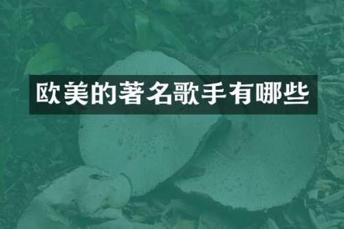 欧美的著名歌手有哪些