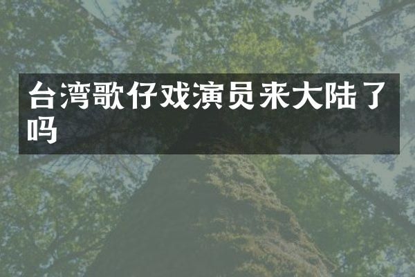 台湾歌仔戏演员来大陆了吗
