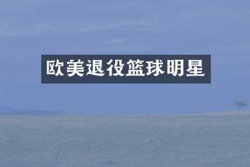 欧美退役篮球明星