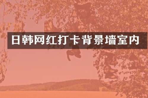 日韩网红打卡背景墙室内