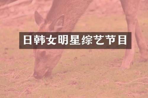 日韩女明星综艺节目