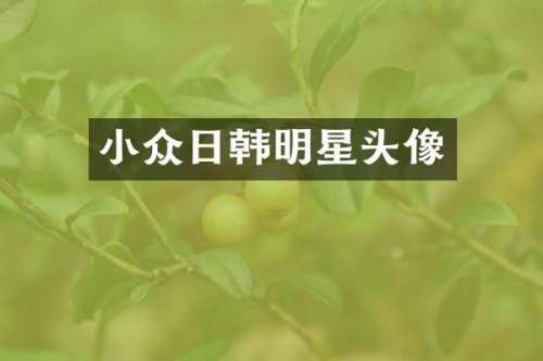 小众日韩明星头像