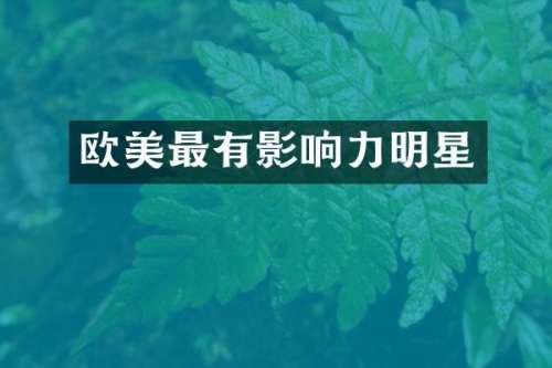 欧美最有影响力明星