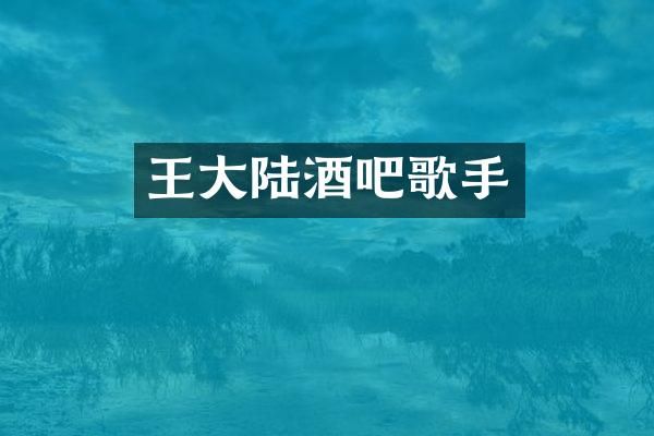 王大陆酒吧歌手