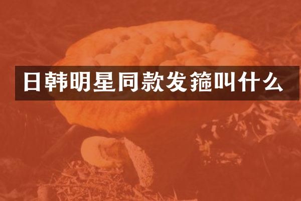 日韩明星同款发箍叫什么