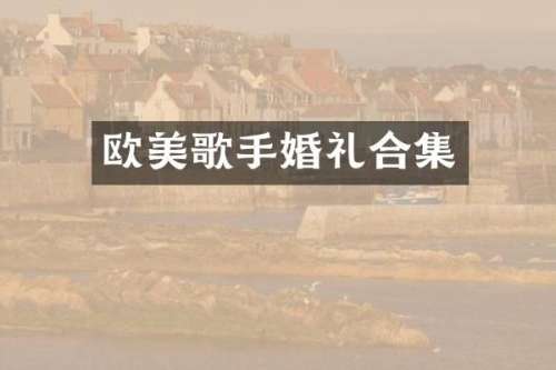 欧美歌手婚礼