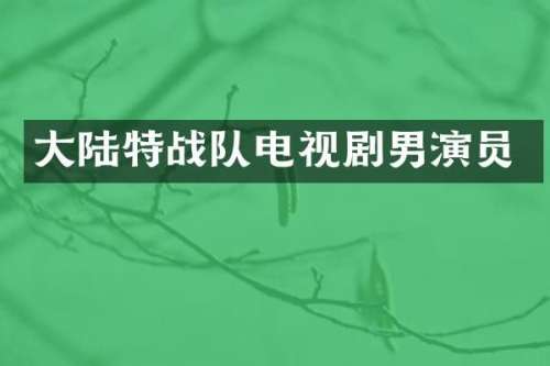 大陆特战队电视剧男演员