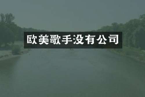 欧美歌手没有公司