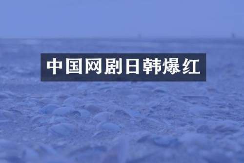 中国网剧日韩爆红