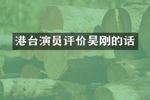港台演员评价吴刚的话