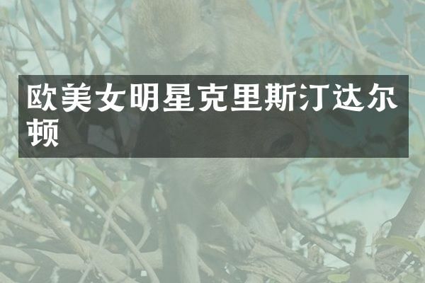 欧明星克里斯汀达尔顿