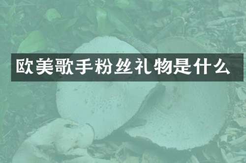 欧美歌手粉丝礼物是什么