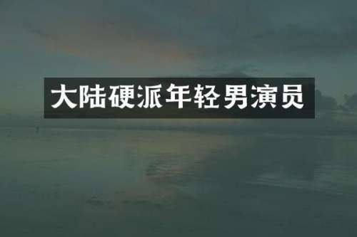 大陆硬派年轻男演员