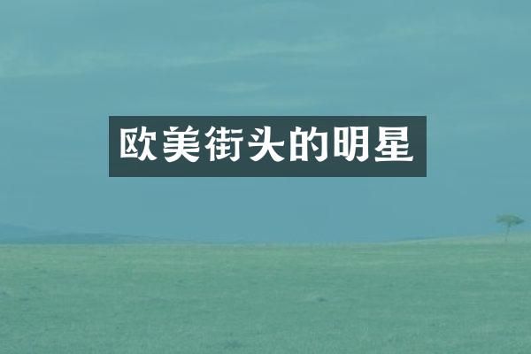 欧美街头的明星