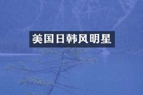 美国日韩风明星