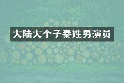 大陆大个子秦姓男演员