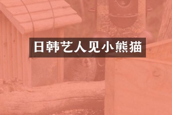 日韩艺人见