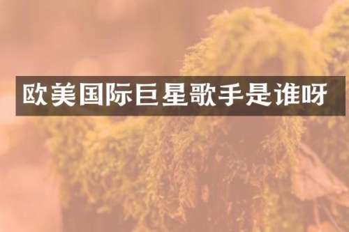 欧美国际巨星歌手是谁呀