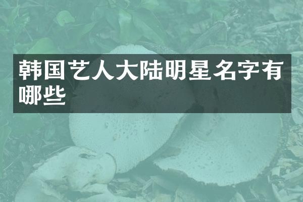 韩国艺人大陆明星名字有哪些