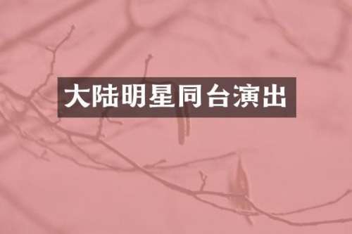 大陆明星同台演出