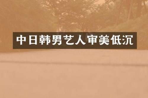 中日韩男艺人审美低沉