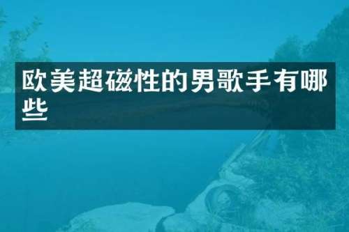 欧美超磁性的男歌手有哪些