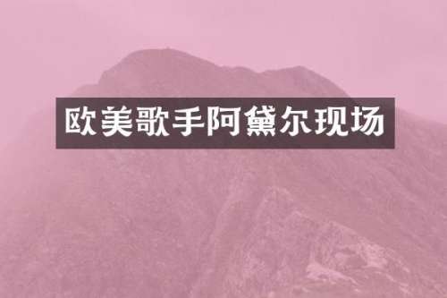 欧美歌手阿黛尔现场